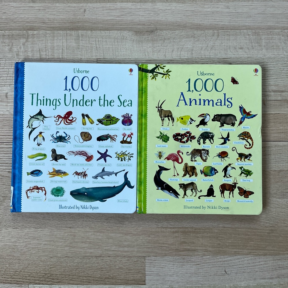 Usborne books